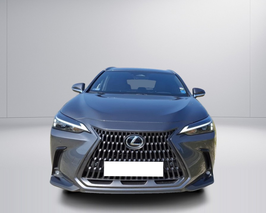 Lexus Seria NX 350h AWD Prestige (5)