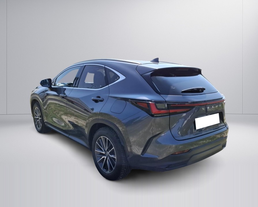 Lexus Seria NX 350h AWD Prestige (3)