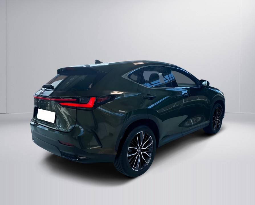 Lexus Seria NX 350h AWD Luxury Line (3)
