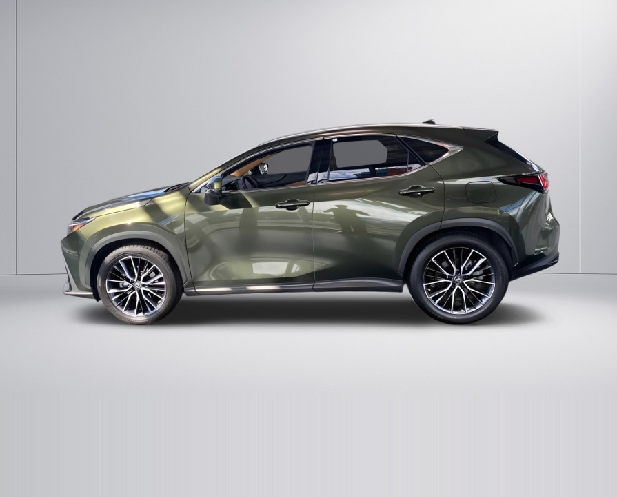 Lexus Seria NX 350h AWD Luxury Line (5)