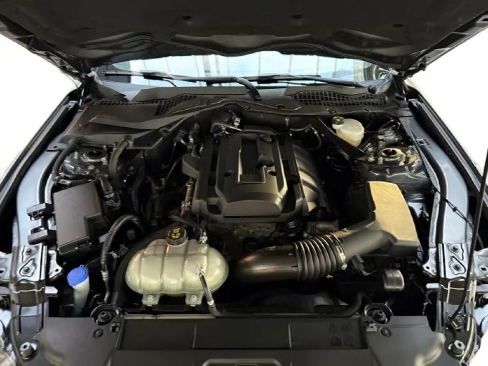 Ford Mustang - foto 28