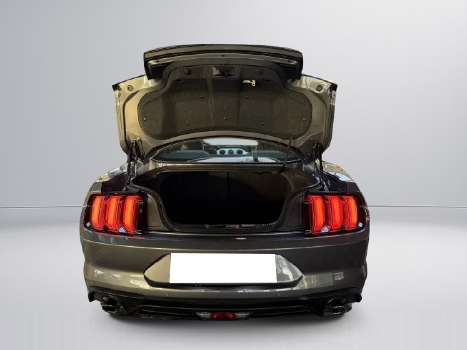 Ford Mustang - foto 29