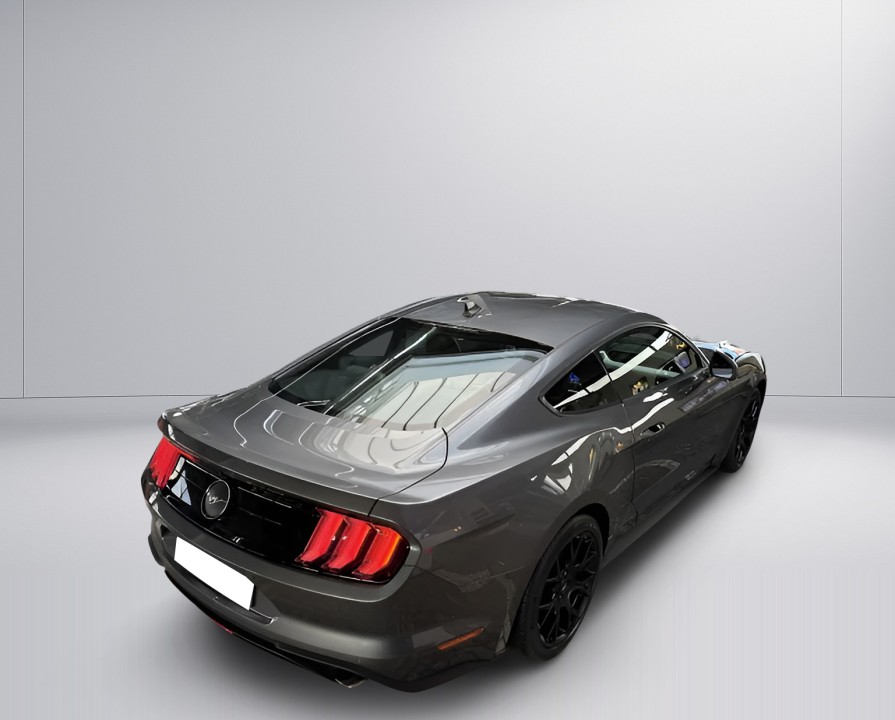 Ford Mustang (3)