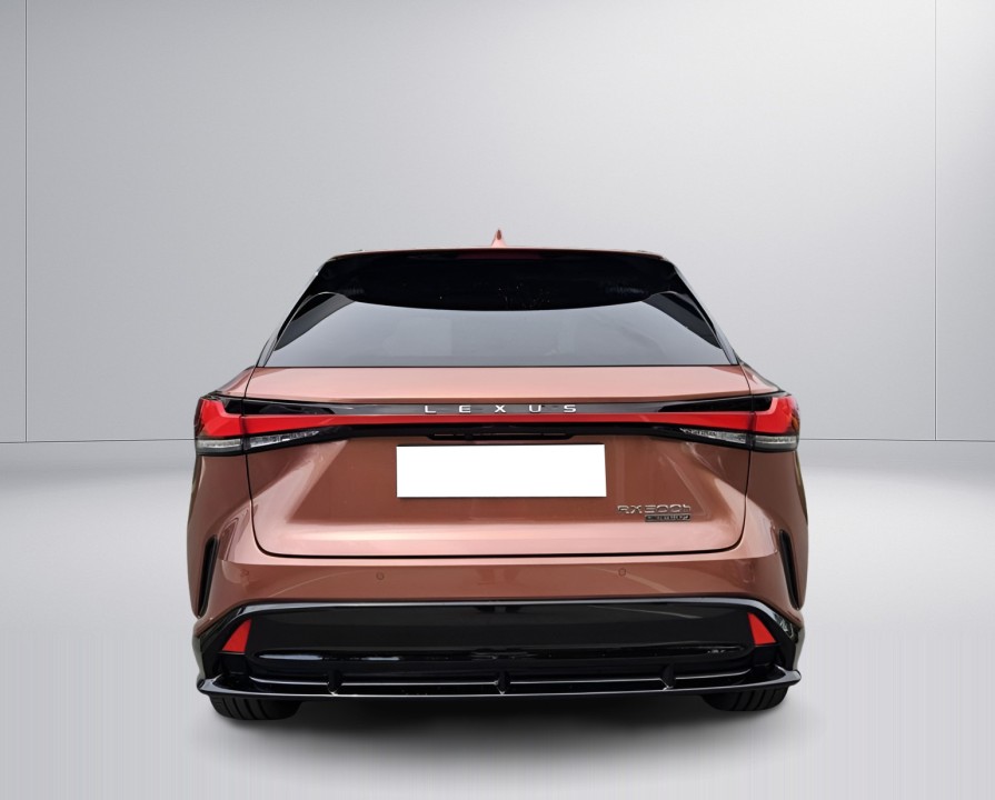 Lexus Seria RX 500h F-Sport - foto 9