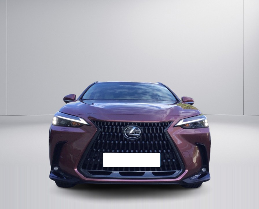 Lexus Seria NX 350h AWD Executive Line - foto 8