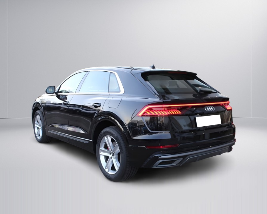 Audi Q8 55 TFSIe Quattro S-Line (3)