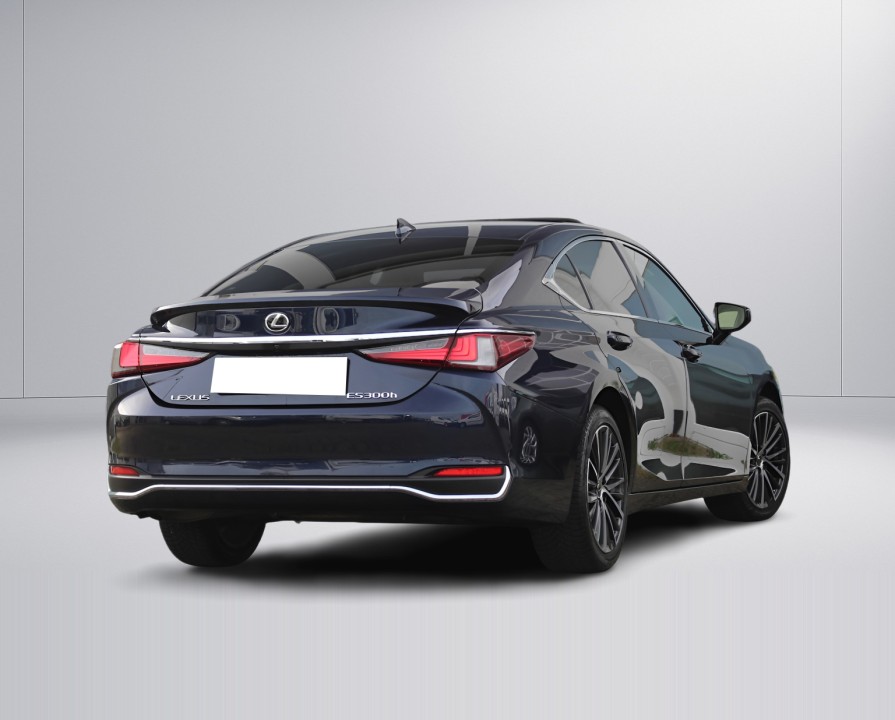 Lexus Seria ES 300h (3)