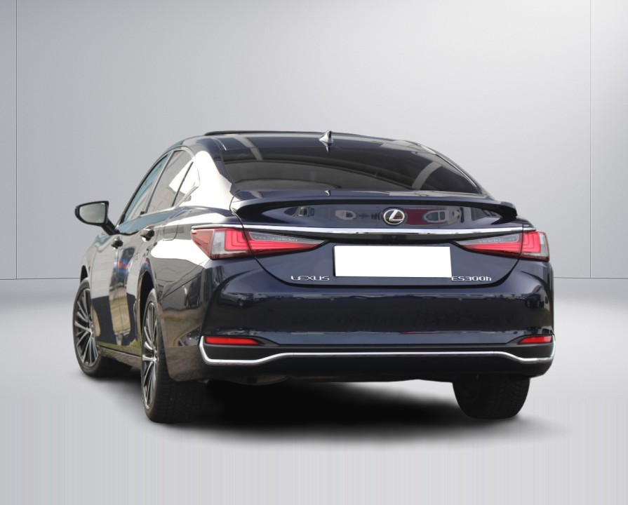 Lexus Seria ES 300h (5)