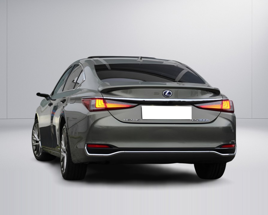 Lexus Seria ES 300h President Line (5)