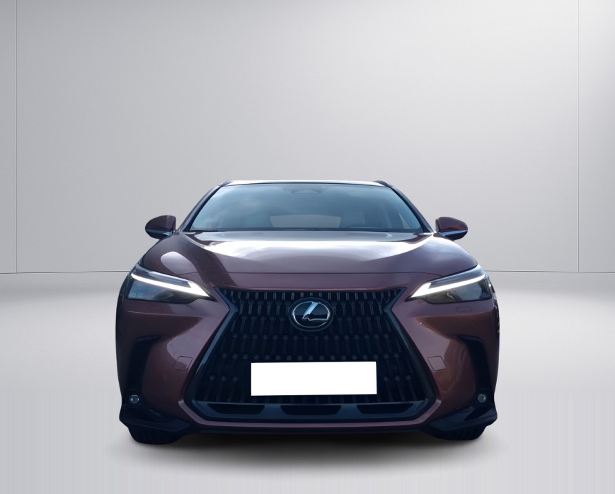 Lexus Seria NX 450h+ Luxury Line - foto 7