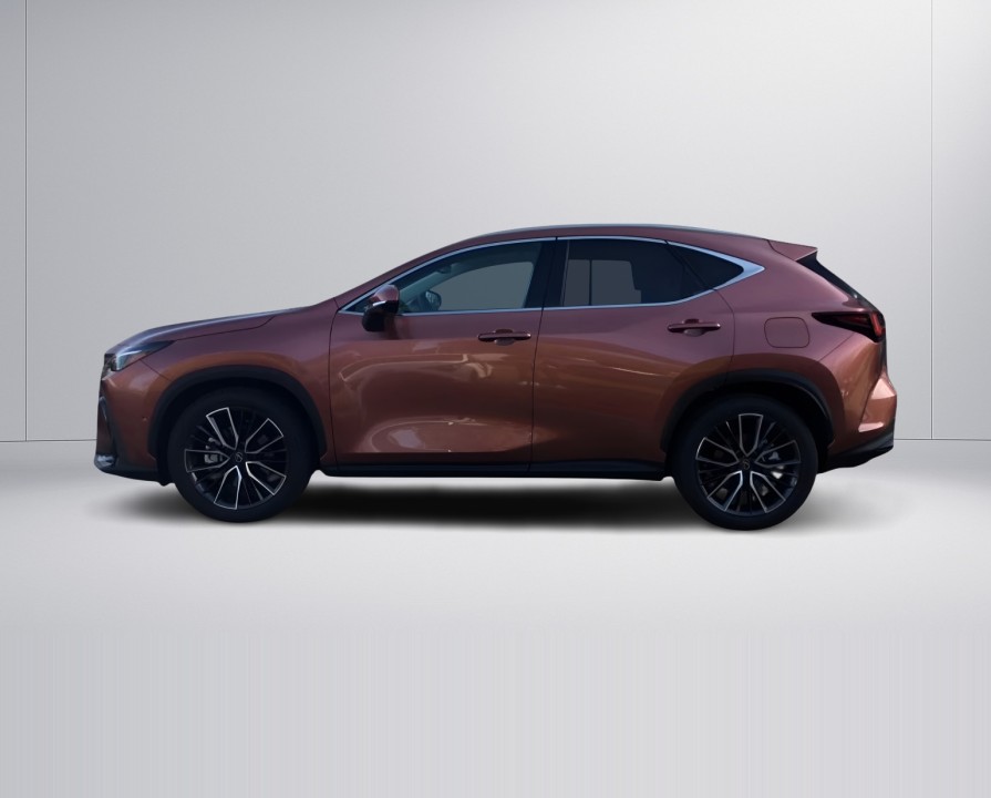 Lexus Seria NX 450h+ Luxury Line (5)
