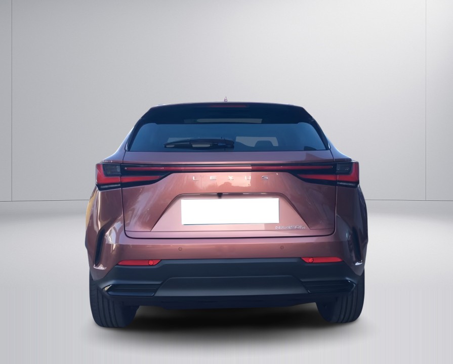 Lexus Seria NX 450h+ Luxury Line (3)