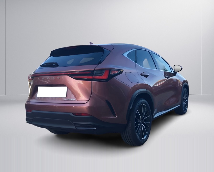 Lexus Seria NX 450h+ Luxury Line (2)