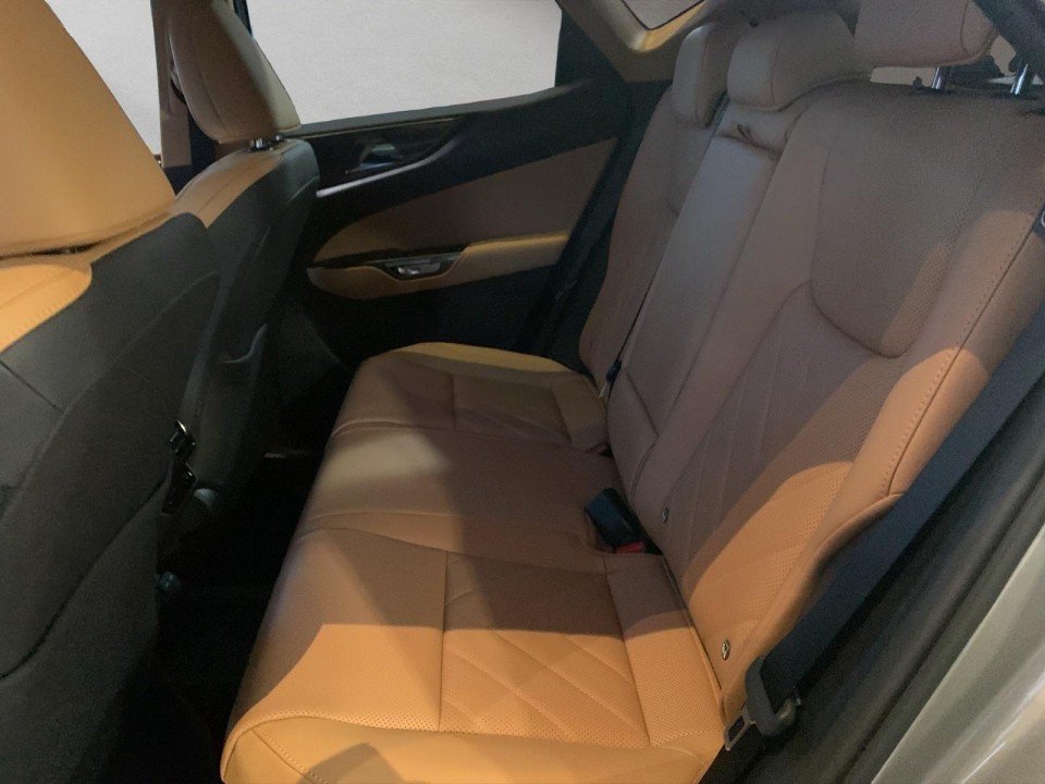 Lexus Seria NX 450h+ (2)