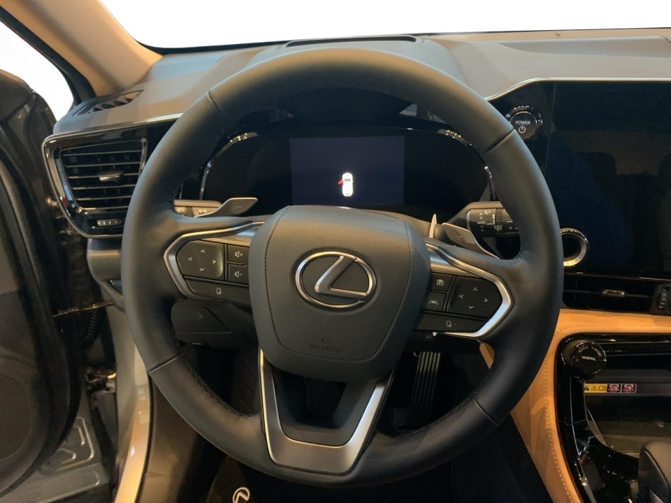 Lexus Seria NX 450h+ (5)