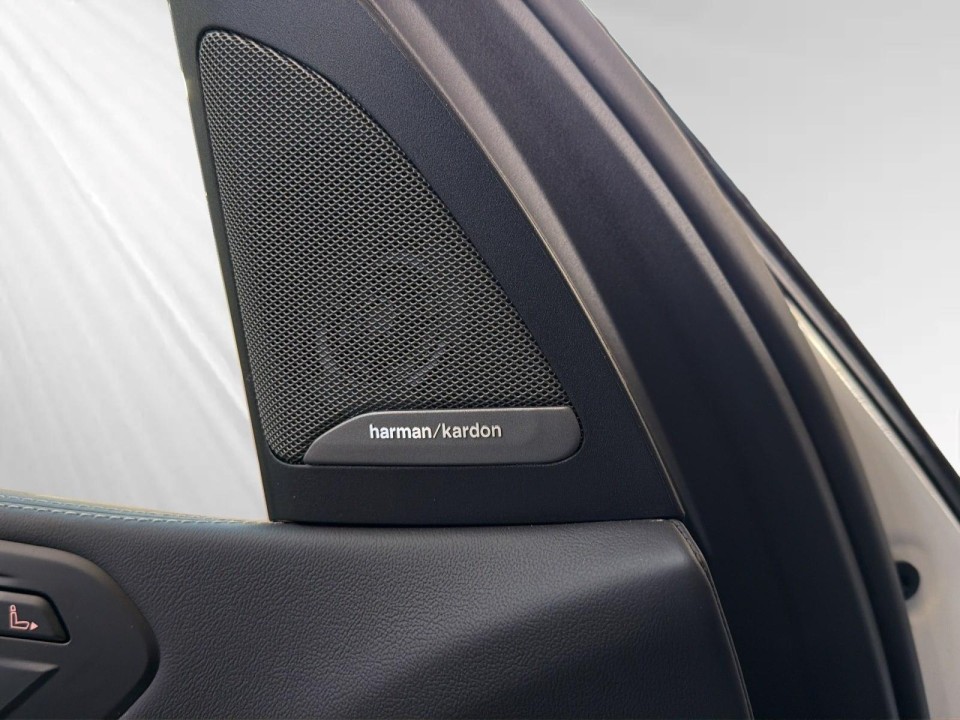 BMW X7 xDrive40d M-Sport - foto 14