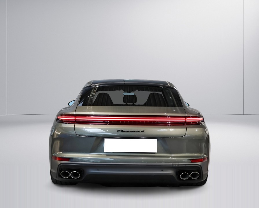Porsche Panamera 4 E-Hybrid (2)