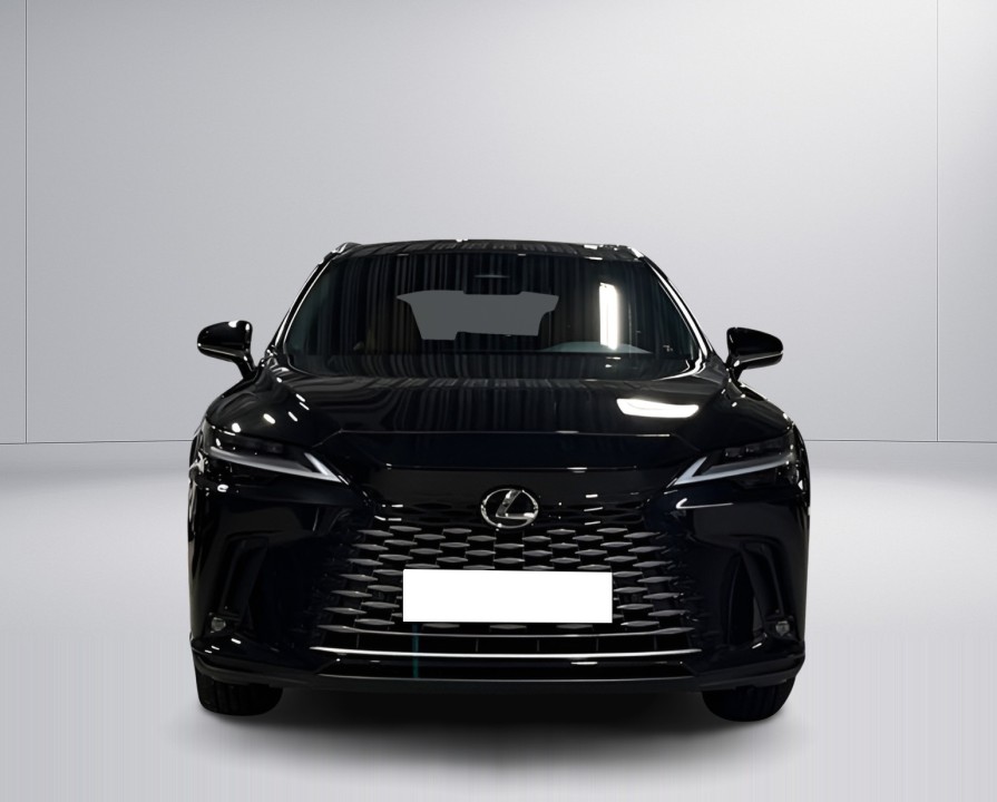 Lexus Seria RX 350h AWD Executive (2)