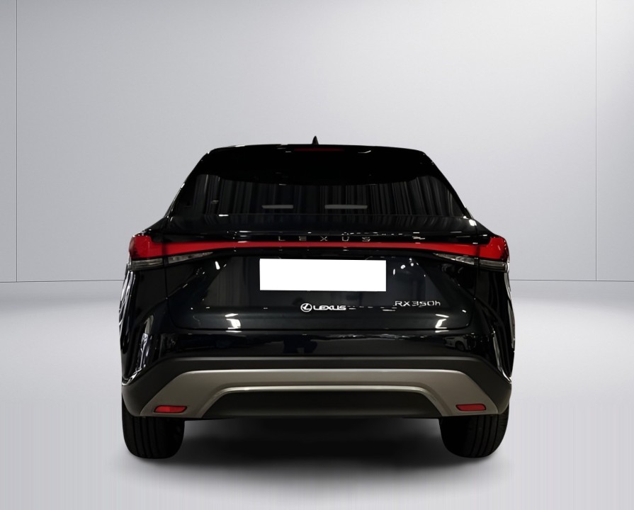 Lexus Seria RX 350h AWD Executive (5)