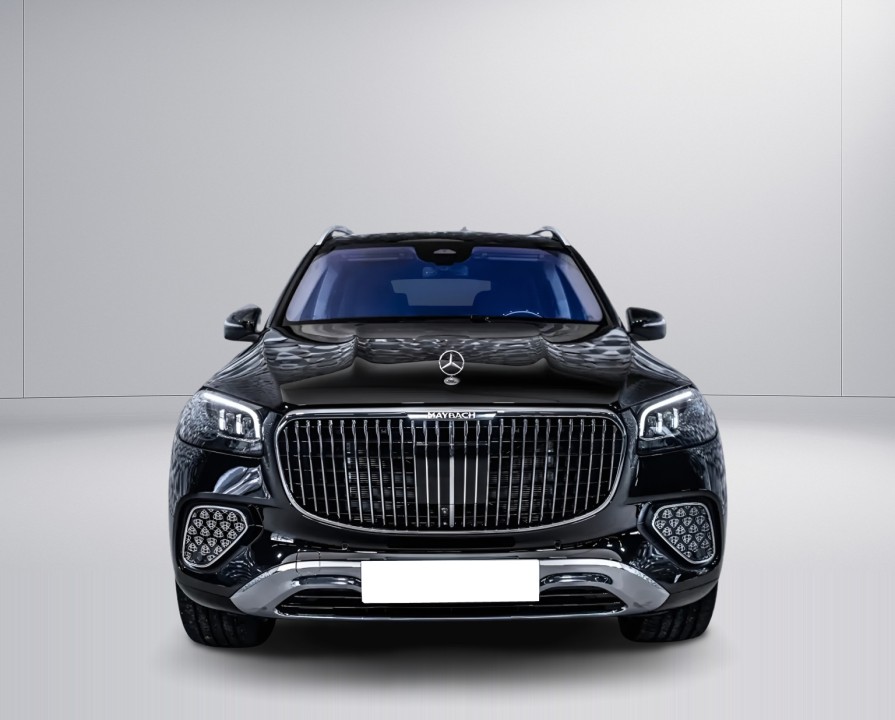 Mercedes-Benz GLS Maybach 600 (2)