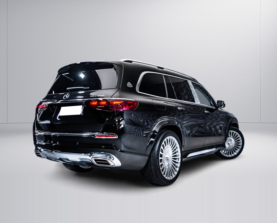 Mercedes-Benz GLS Maybach 600 (4)