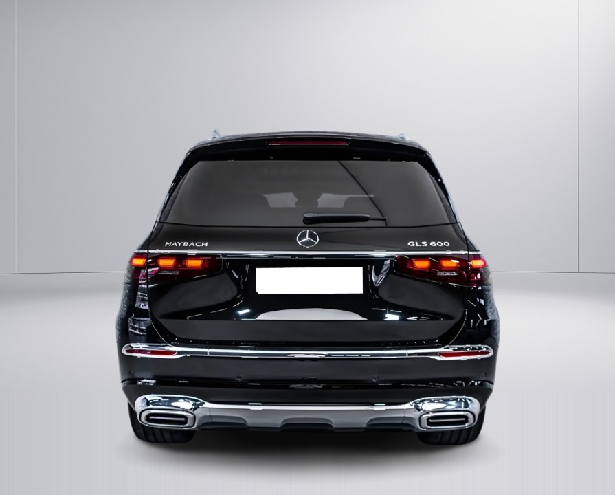 Mercedes-Benz GLS Maybach 600 (5)