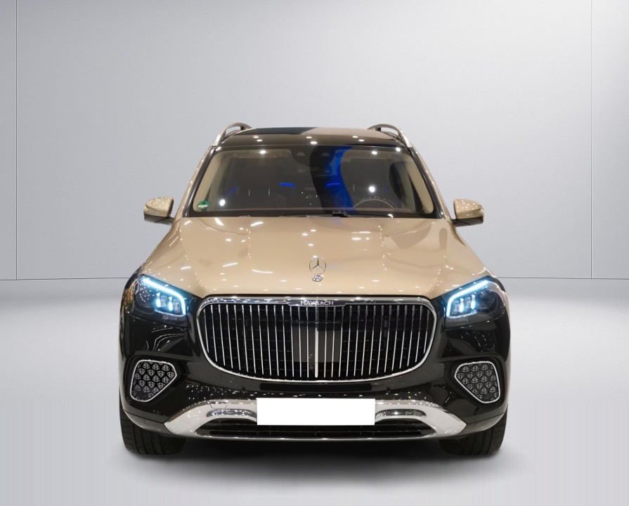 Mercedes-Benz GLS Maybach 600 - foto 9