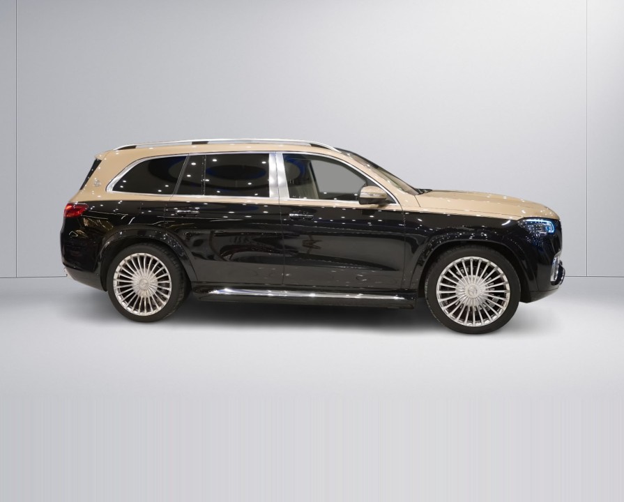 Mercedes-Benz GLS Maybach 600 (2)