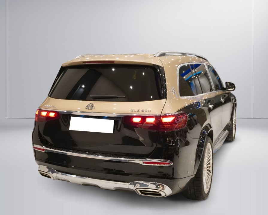 Mercedes-Benz GLS Maybach 600 (4)