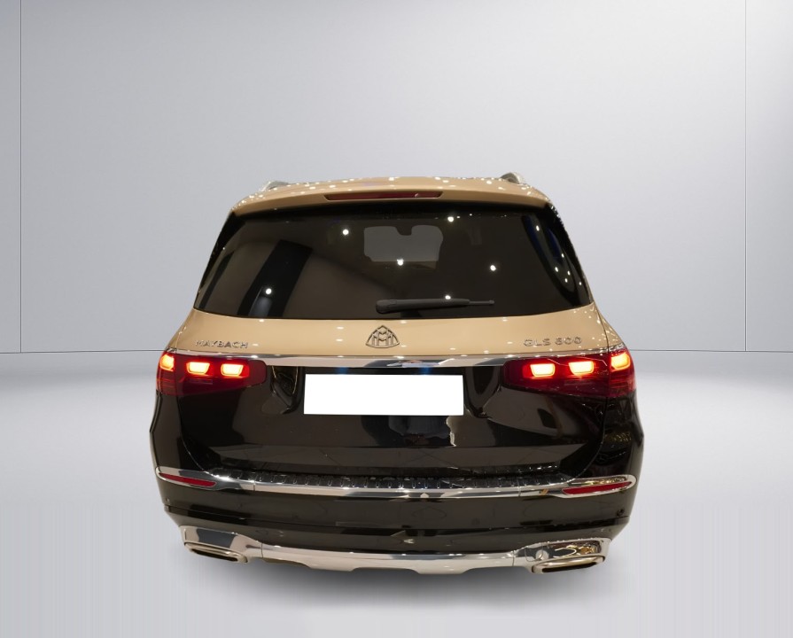 Mercedes-Benz GLS Maybach 600 (5)