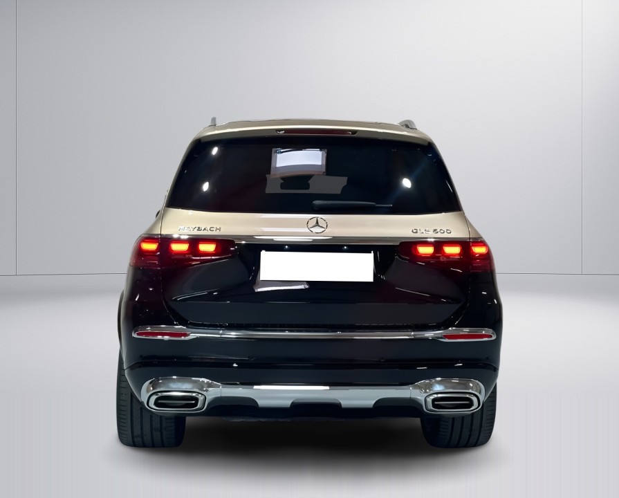 Mercedes-Benz GLS Maybach 600 (4)