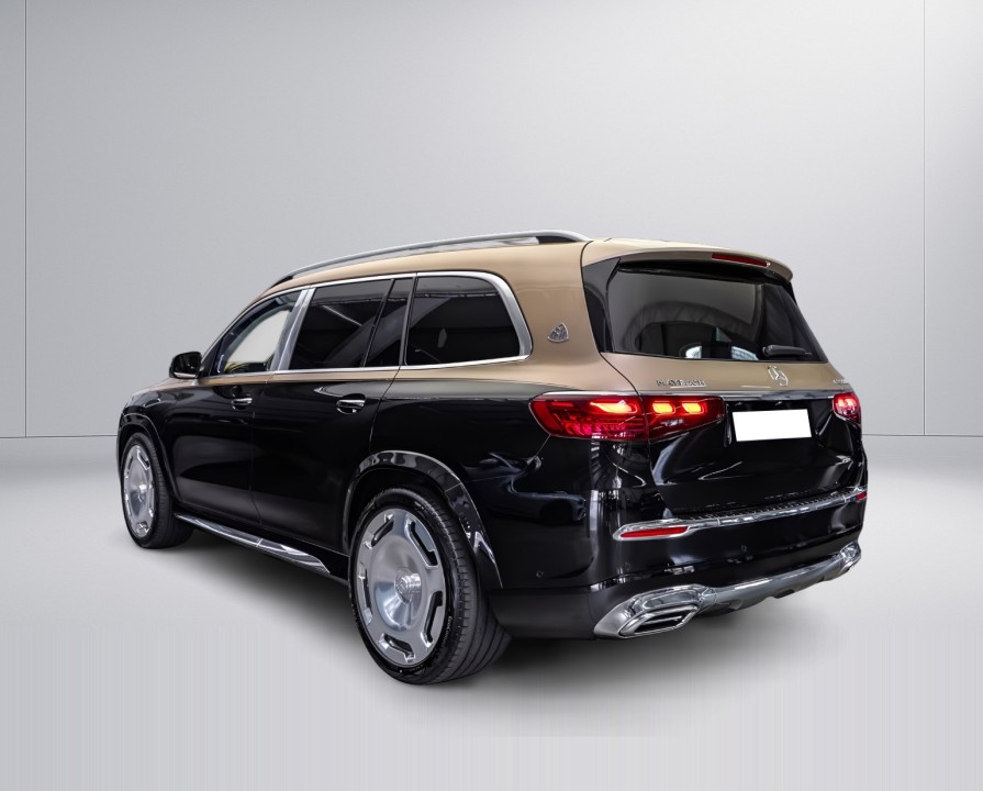 Mercedes-Benz GLS Maybach 600 (4)