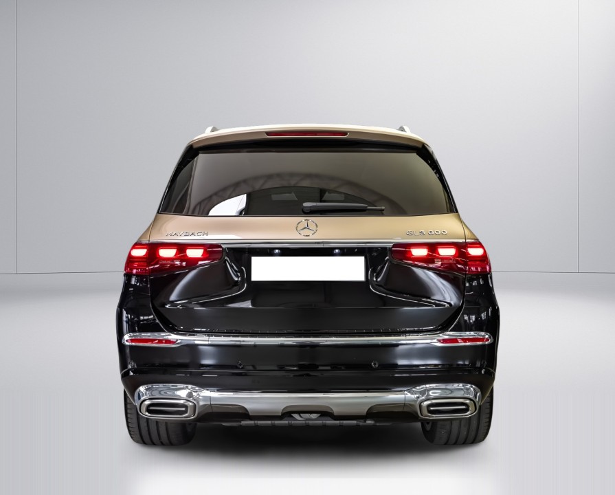 Mercedes-Benz GLS Maybach 600 (3)