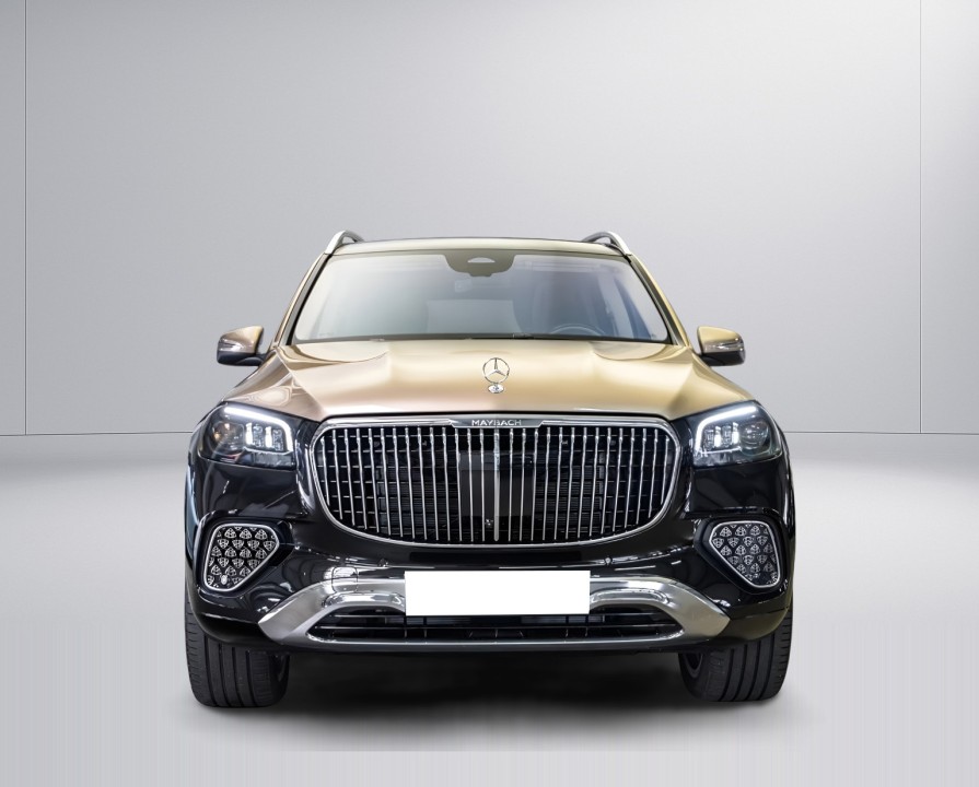 Mercedes-Benz GLS Maybach 600 - foto 7