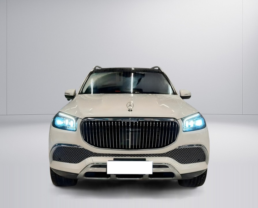 Mercedes-Benz GLS Maybach 600 (3)