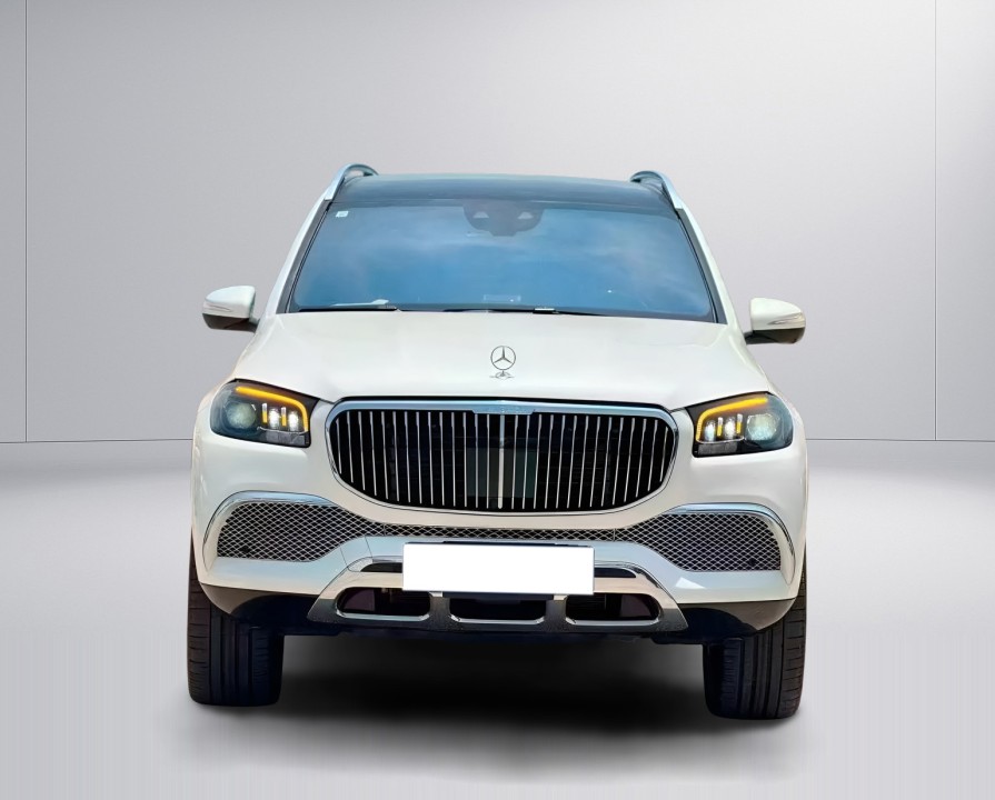 Mercedes-Benz GLS Maybach 600 (4)