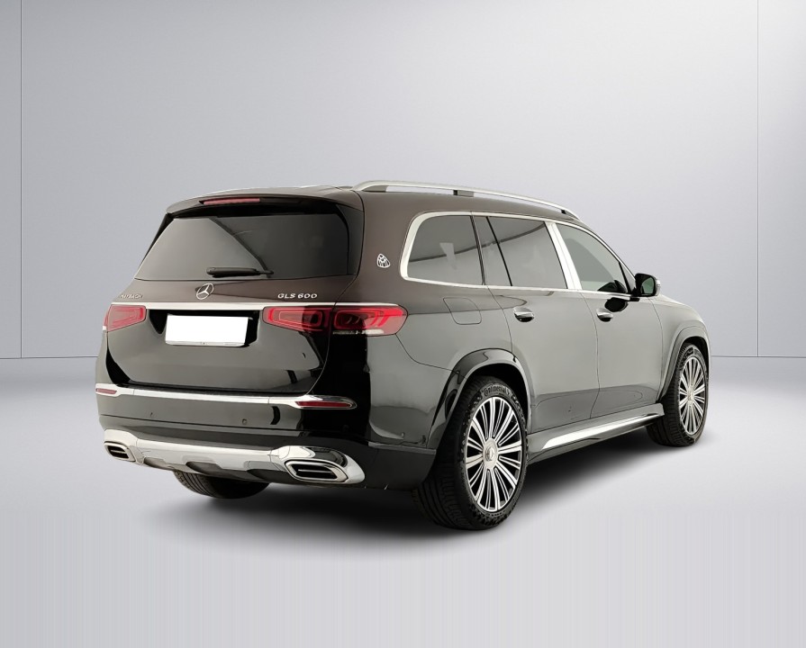 Mercedes-Benz GLS Maybach 600 (3)