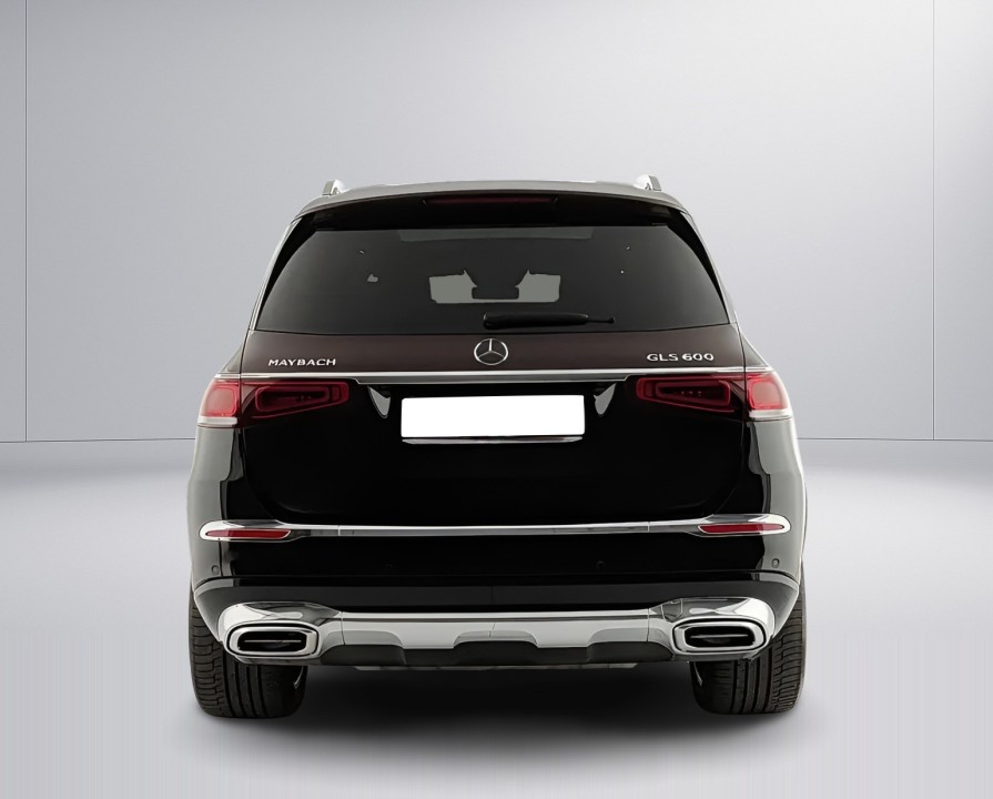Mercedes-Benz GLS Maybach 600 (4)