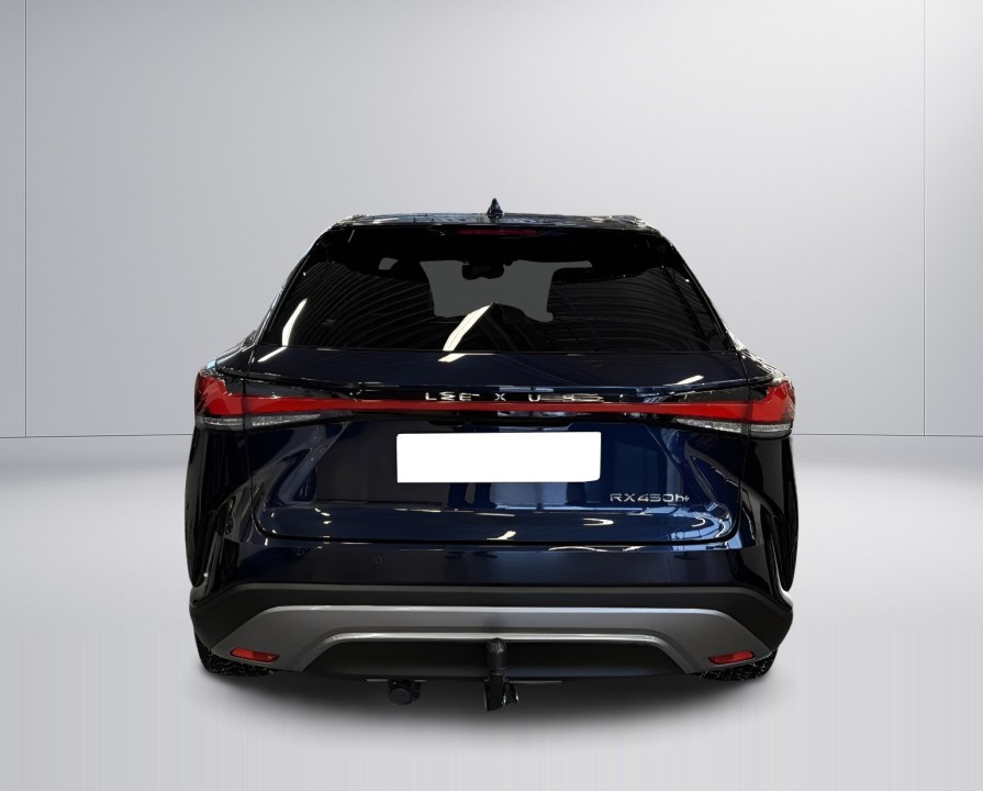 Lexus Seria RX 450h+ Luxury Line (5)