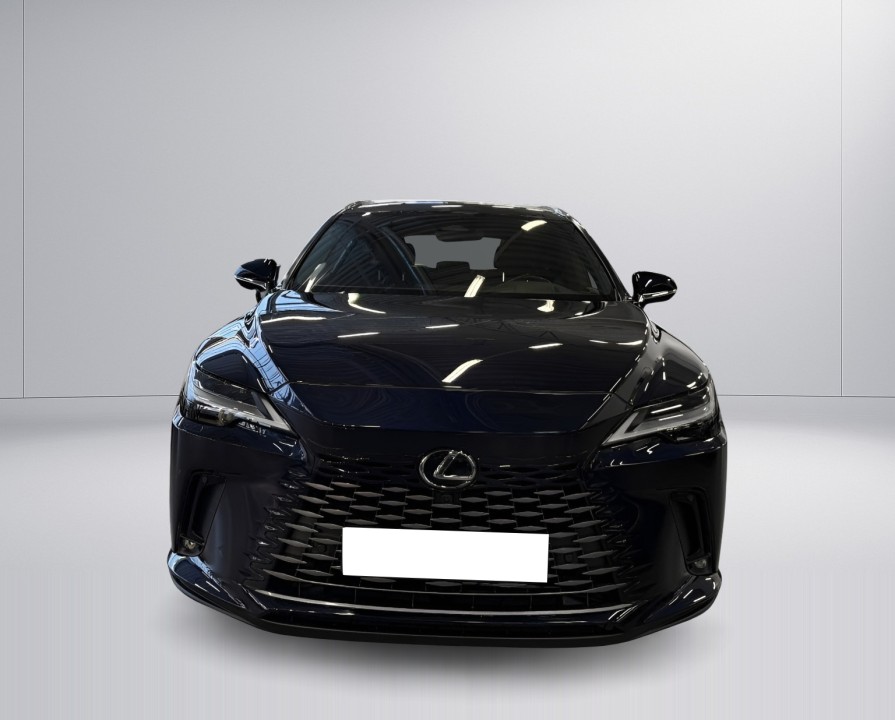 Lexus Seria RX 450h+ Luxury Line (2)