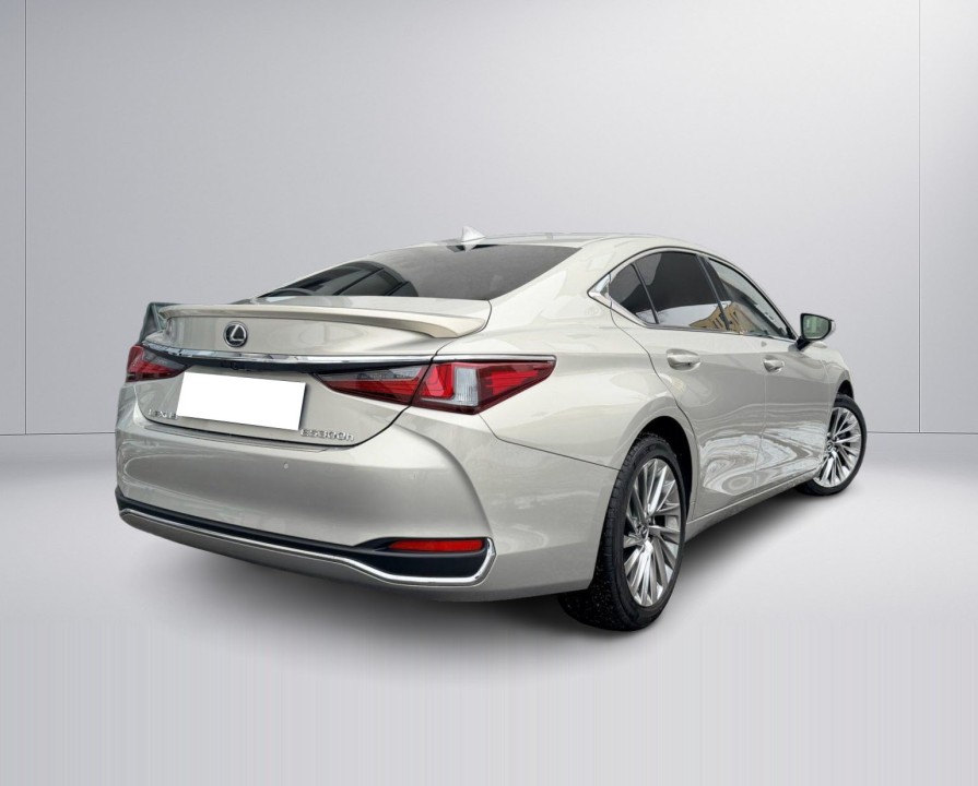 Lexus Seria ES 300h Luxury Line (3)