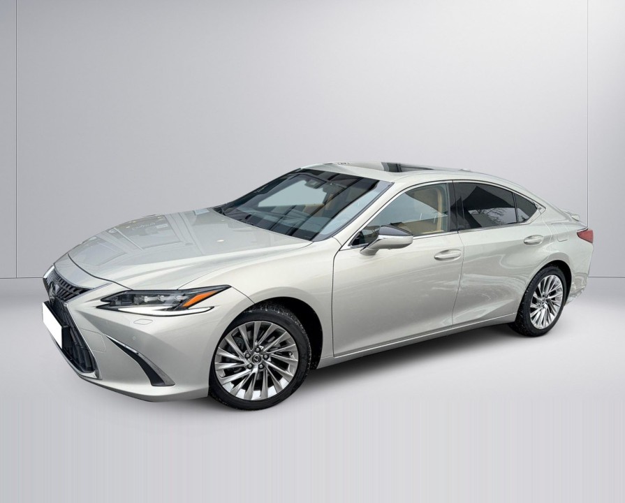 Lexus Seria ES 300h Luxury Line (2)