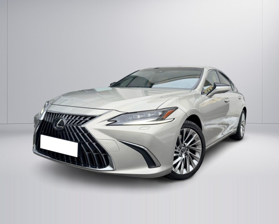 Lexus Seria ES 300h Luxury Line