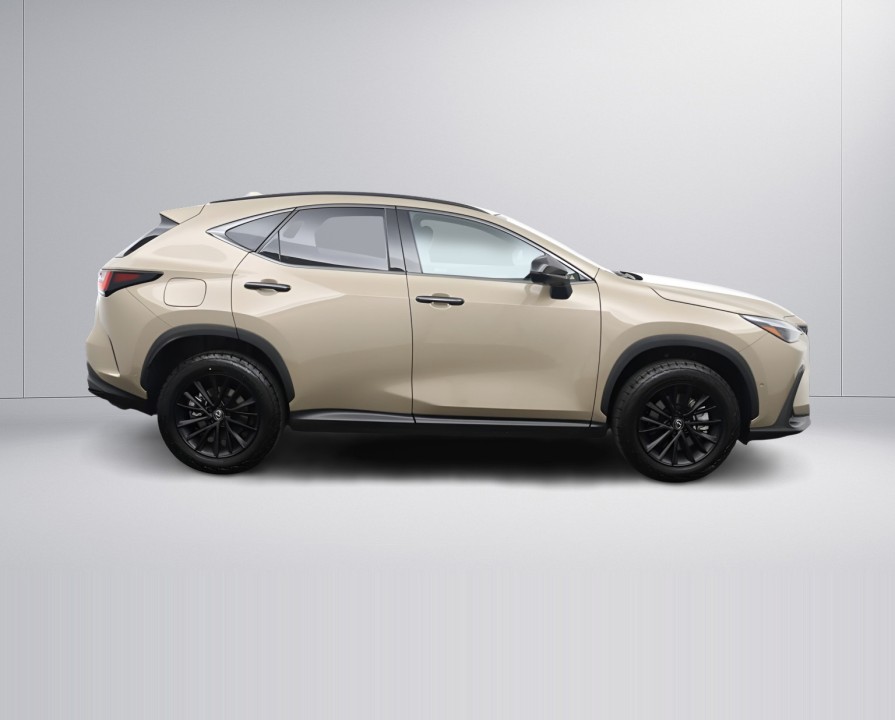 Lexus Seria NX 450h+ (2)