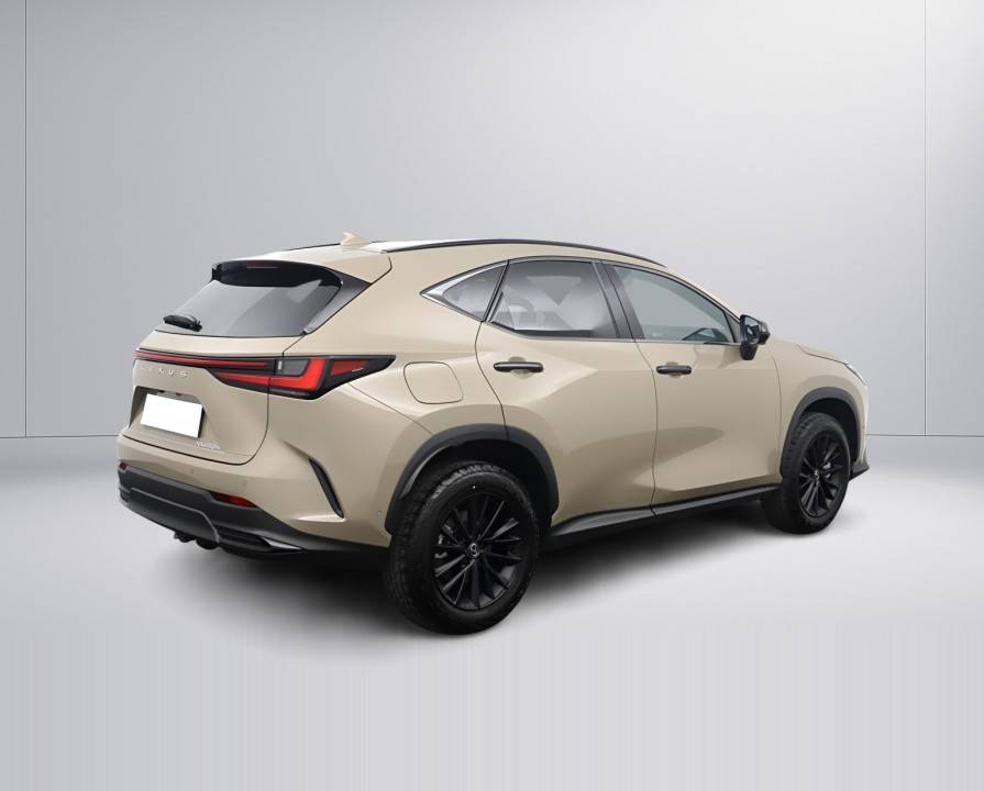 Lexus Seria NX 450h+ (3)