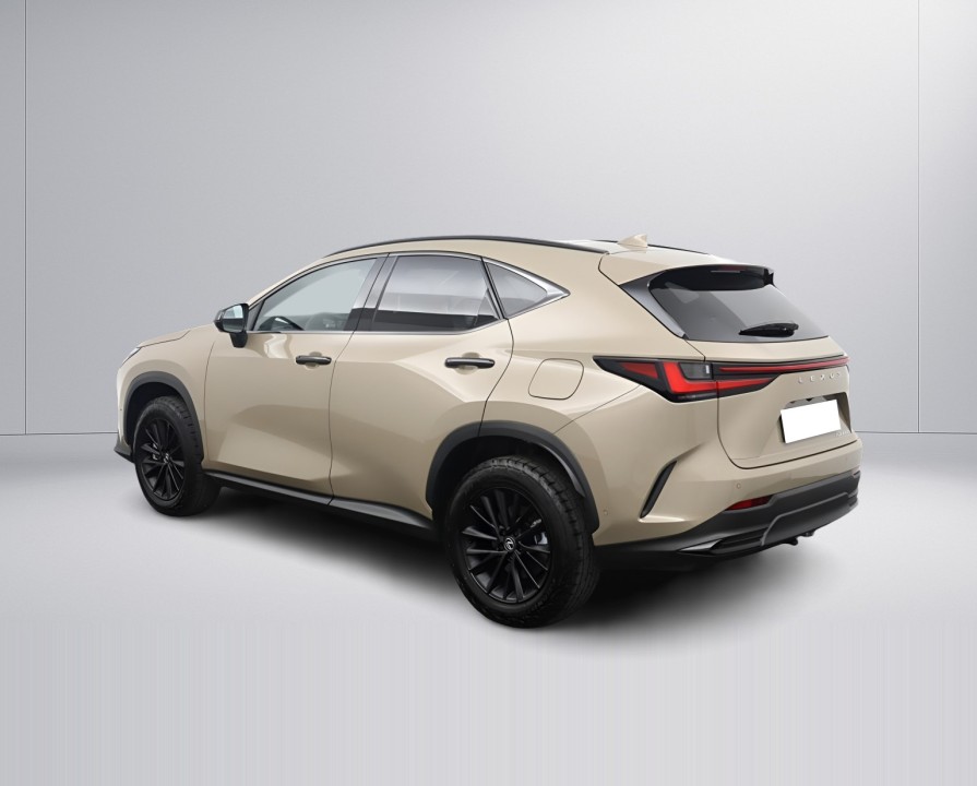 Lexus Seria NX 450h+ (4)