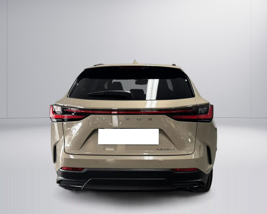 Lexus Seria NX 450h+ (3)