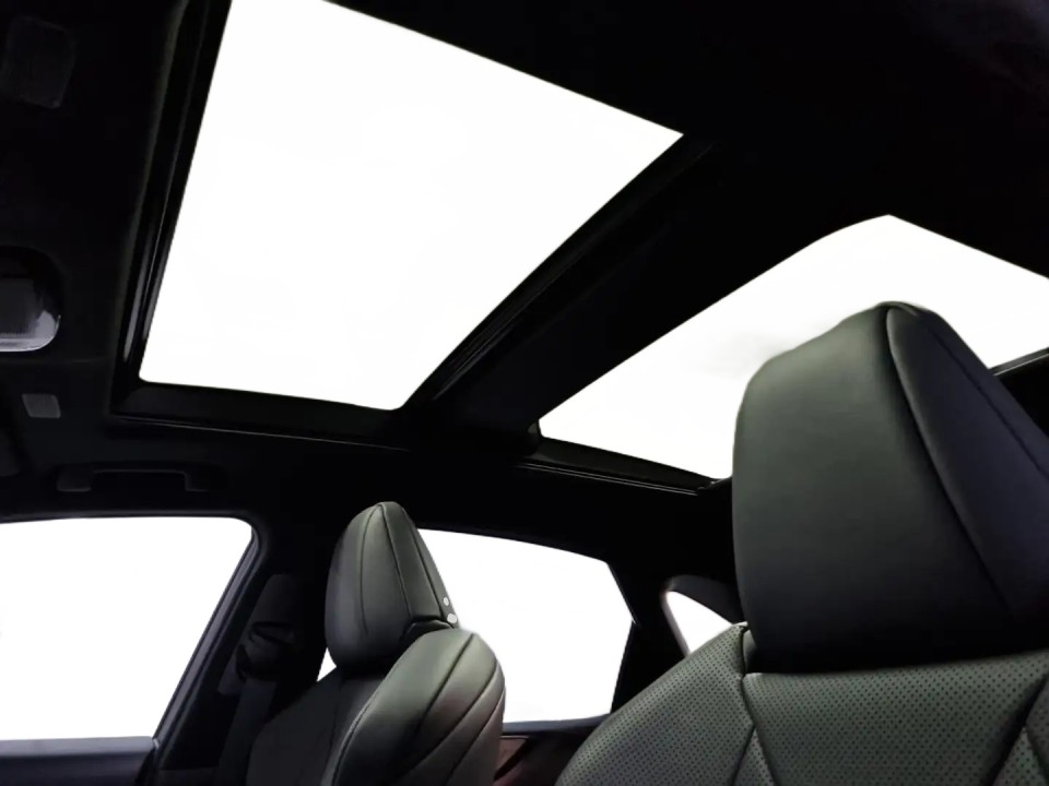 Lexus Seria NX 450h+ - foto 43