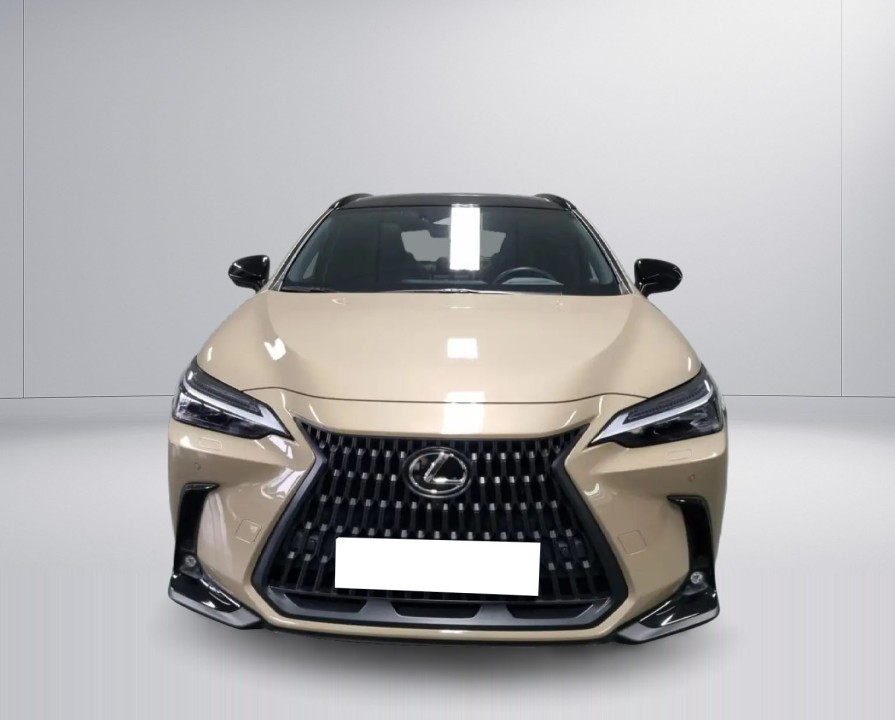 Lexus Seria NX 450h+ - foto 6