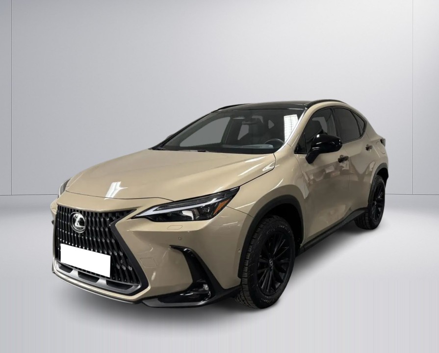 Lexus Seria NX 450h+ (5)